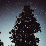 star track